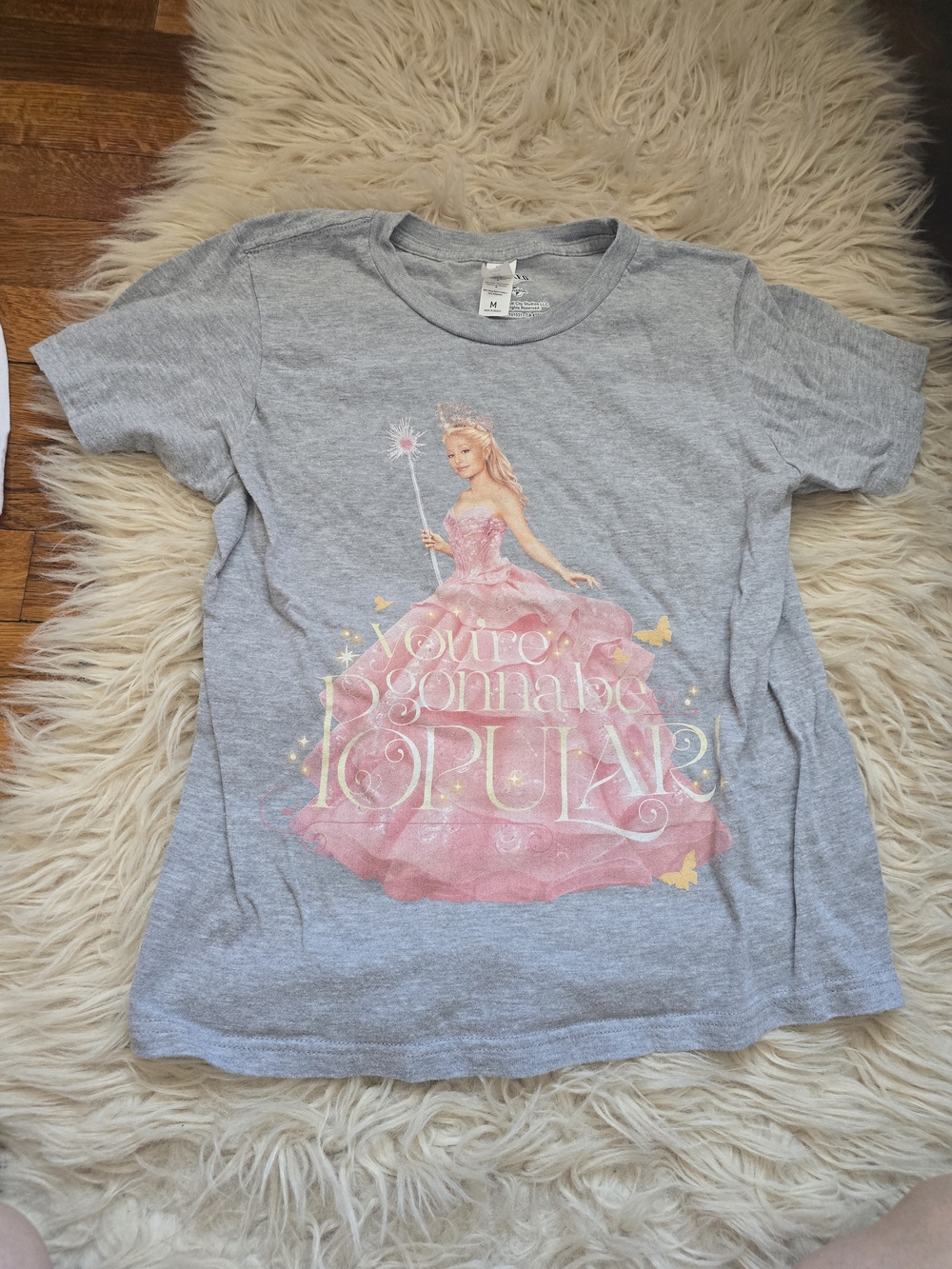 Universal Girls' Gray Tee with Pink Princess Graphic